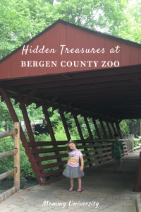 Hidden Treasures at Bergen County Zoo