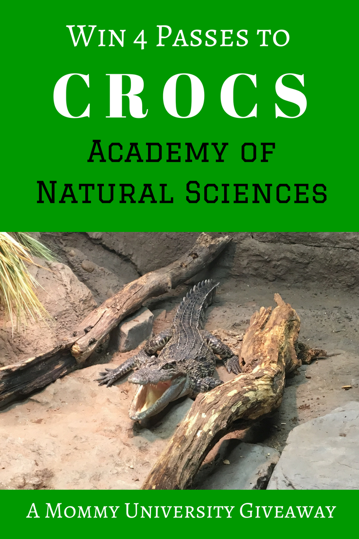 academy crocs
