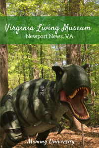 The Virginia Living Museum