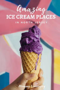 Amazing Ice Cream Places in North New Jersey (1)