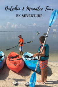 BK Adventures Dolphin & Manatee Tour