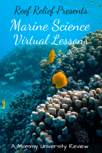 Reef Relief Presents Marine Science Virtual Lessons