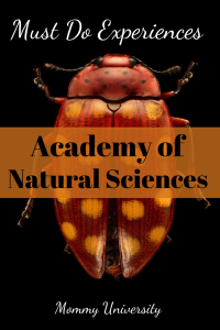 Must Do Experiences of Academy of Natural Sciences